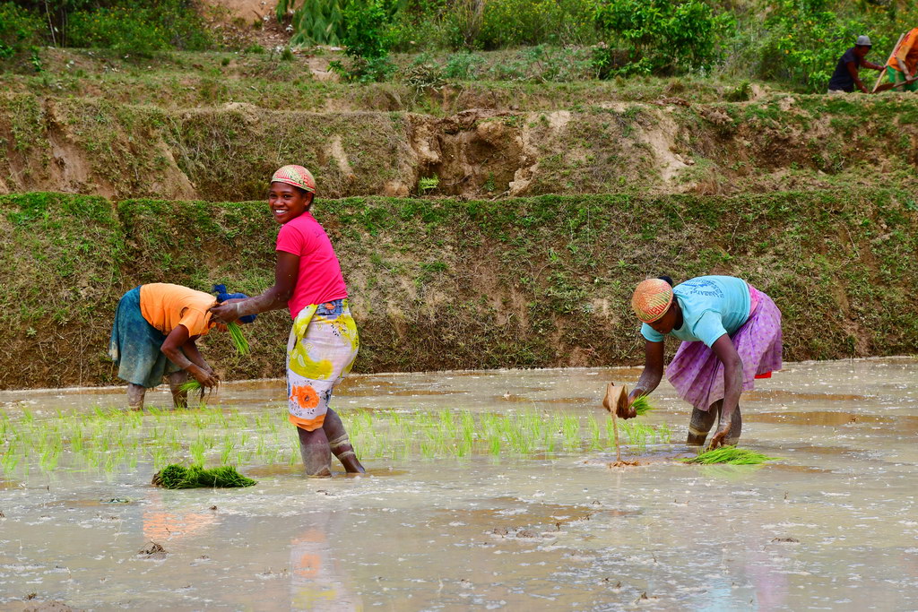 Fianarantsoa to Ambositra